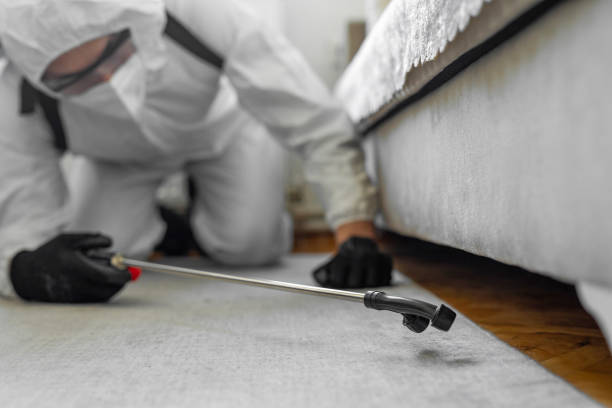 Professional Cockroach Control technician working in Dunn County County, WI
